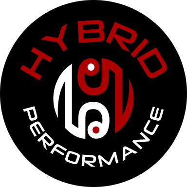 Hybrid Defense System